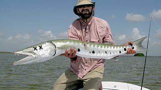 Seagate Firmware Fix Turned Barracudas into Paperweights